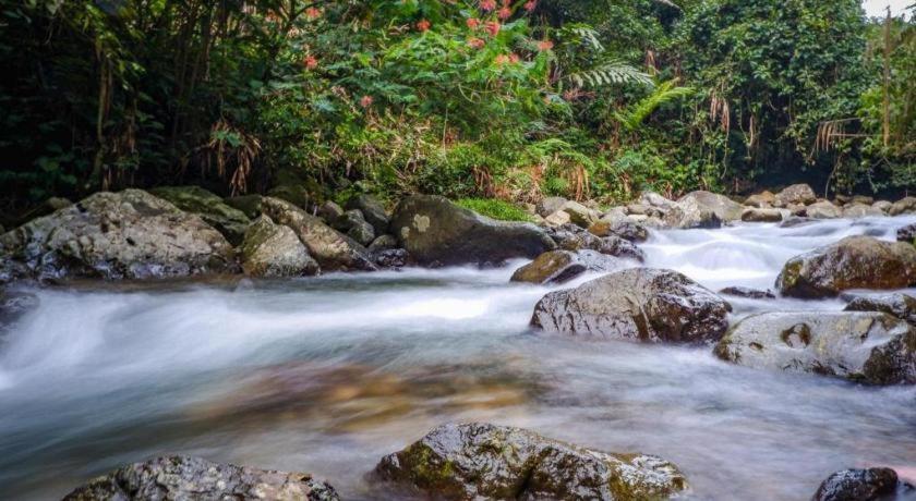 Hotel Pondok Remaja Pgi Puncak Bagian luar foto